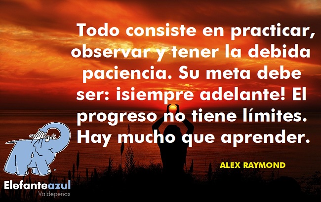 Todo consiste en practicar, observar y tener la debida paciencia. Su meta debe ser: ¡siempre adelante! El progreso no tiene límites. Hay mucho que aprender. 