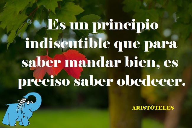 Es un principio indiscutible que para saber mandar bien, es preciso saber obedecer.