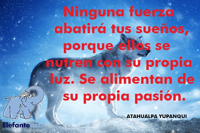 Ninguna fuerza abatirá tus sueños, porque ellos se nutren con su propia luz. Se alimentan de su propia pasión.