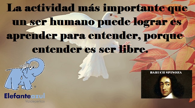 La actividad más importante que un ser humano puede lograr es aprender para entender, porque entender es ser libre