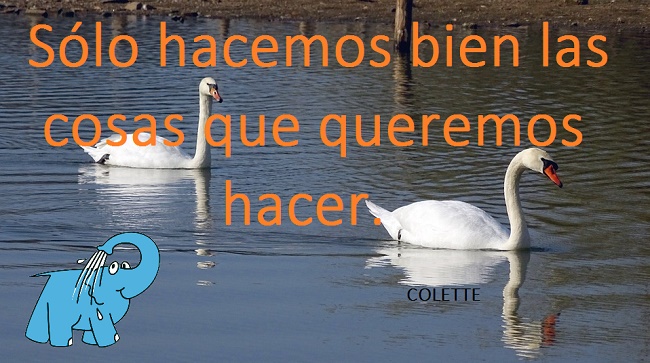 Sólo hacemos bien las cosas que queremos hacer.