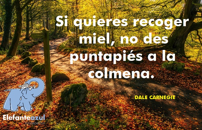 Si quieres recoger miel, no des puntapiés a la colmena.