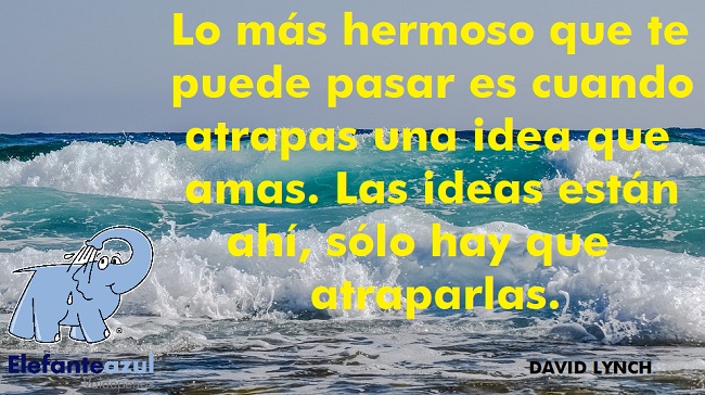 Lo más hermoso que te puede pasar es cuando atrapas una idea que amas. Las ideas están ahí, sólo hay que atraparlas.