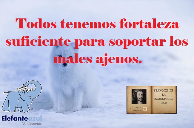 Todos tenemos fortaleza suficiente para soportar los males ajenos.