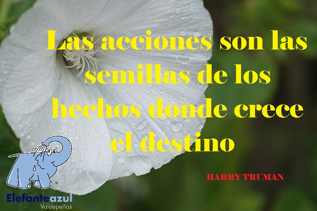 Las acciones son las semillas de los hechos donde crece el destino