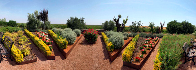 imagen de Jardiner&iacute;a Las Jaras, web amiga de Centro de lavado de coches Elefante Azul Valdepe&ntilde;as