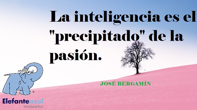La inteligencia es el 