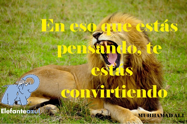 En eso que estás pensando, te estás convirtiendo