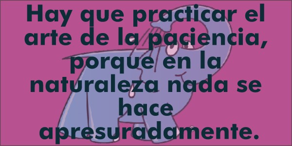 Hay que practicar el arte de la paciencia, porque en la naturaleza nada se hace apresuradamente.