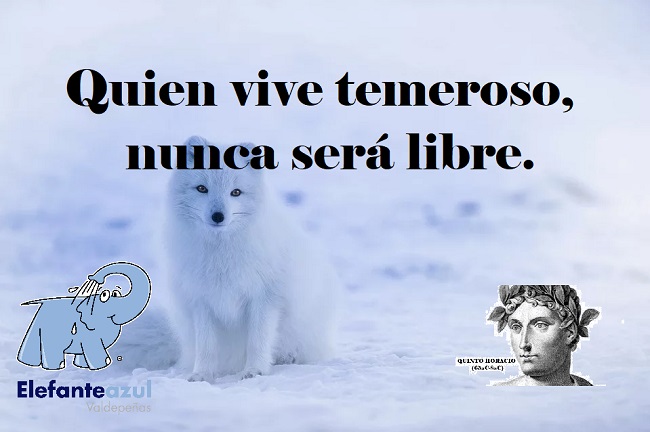 Quien vive temeroso, nunca será libre. 