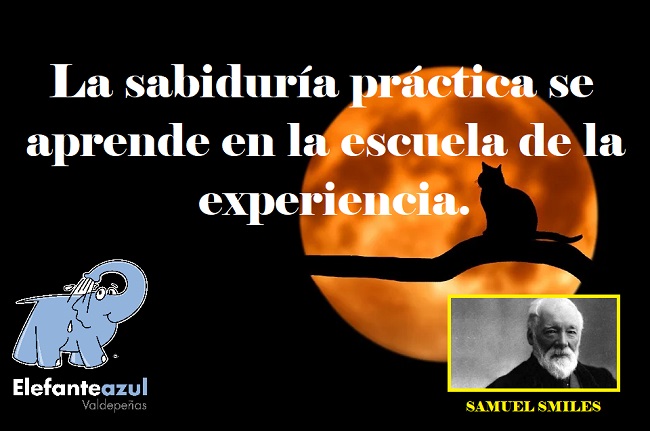 La sabiduría práctica se aprende en la escuela de la experiencia.