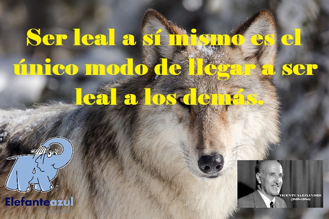 Ser leal a sí mismo es el único modo de llegar a ser leal a los demás. 