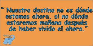 frase del día Elefante Azul Valdepeñas