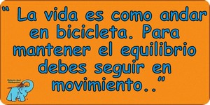 Frase del día Elefante Azul Valdepeñas