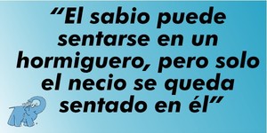 Frase del día Elefante Azul Valdepeñas.
