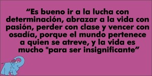 Frase del día Elefante Azul Valdepeñas