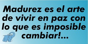 Frase del día Elefante Azul Valdepeñas