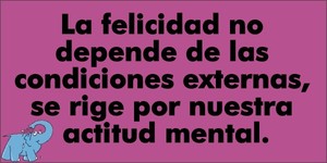 Frase del día Elefante Azul Valdepeñas