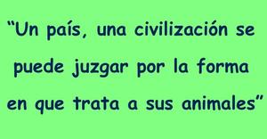 Frase del día Elefante Azul Valdepeñas