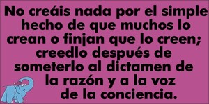 Frase del día Elefante Azul Valdepeñas