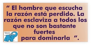 Frase del día Elefante Azul Valdepeñas