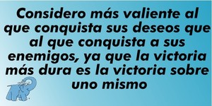 Frase del día Elefante Azul Valdepeñas