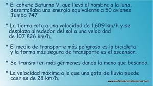 Frase del día Elefante Azul Valdepeñas