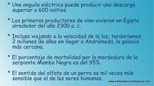 Frase del día Elefante Azul Valdepeñas