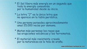 Frase del día Elefante Azul Valdepeñas