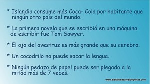 Frase del día Elefante Azul Valdepeñas