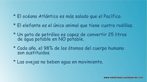 Frase del día Elefante Azul Valdepeñas