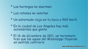 Frase del día Elefante Azul Valdepeñas