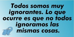 Frase del día Elefante Azul Valdepeñas