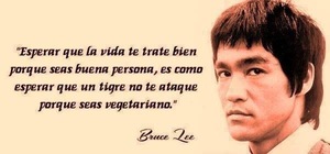 Frase del día Elefante Azul Valdepeñas