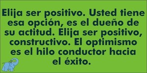 Frase del día Elefante Azul Valdepeñas