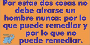Frase del día Elefante Azul Valdepeñas