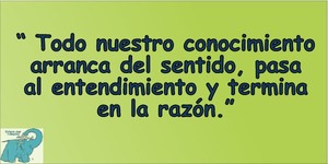 Frase del día Elefante Azul Valdepeñas