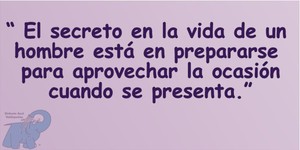 Frase del día Elefante Azul Valdepeñas