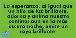 Frase del día Elefante Azul Valdepeñas