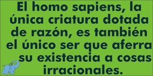 Frase del día Elefante Azul Valdepeñas