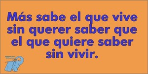 Frase del día Elefante Azul Valdepeñas