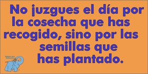 Frase del día Elefante Azul Valdepeñas.