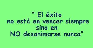 Frase del día Elefante Azul Valdepeñas