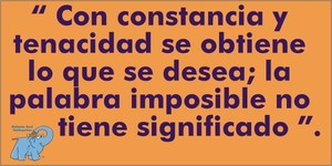 Frase del día Elefante Azul Valdepeñas