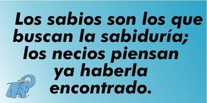 Frase del día Elefante Azul Valdepeñas