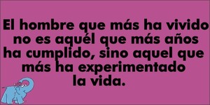 Frase del día de Elefante Azul Valdepeñas