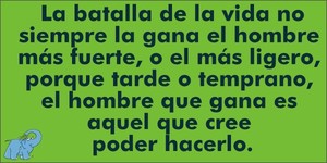 Frase del día Elefante Azul Valdepeñas
