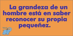 Frase del día Elefante Azul Valdepeñas