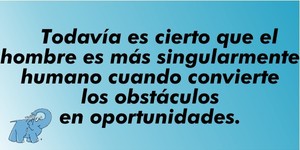 Frase del día Elefante Azul Valdepeñas