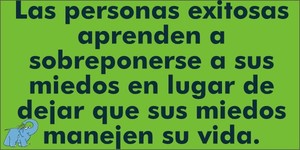 Frase del día Elefante Azul Valdepeñas